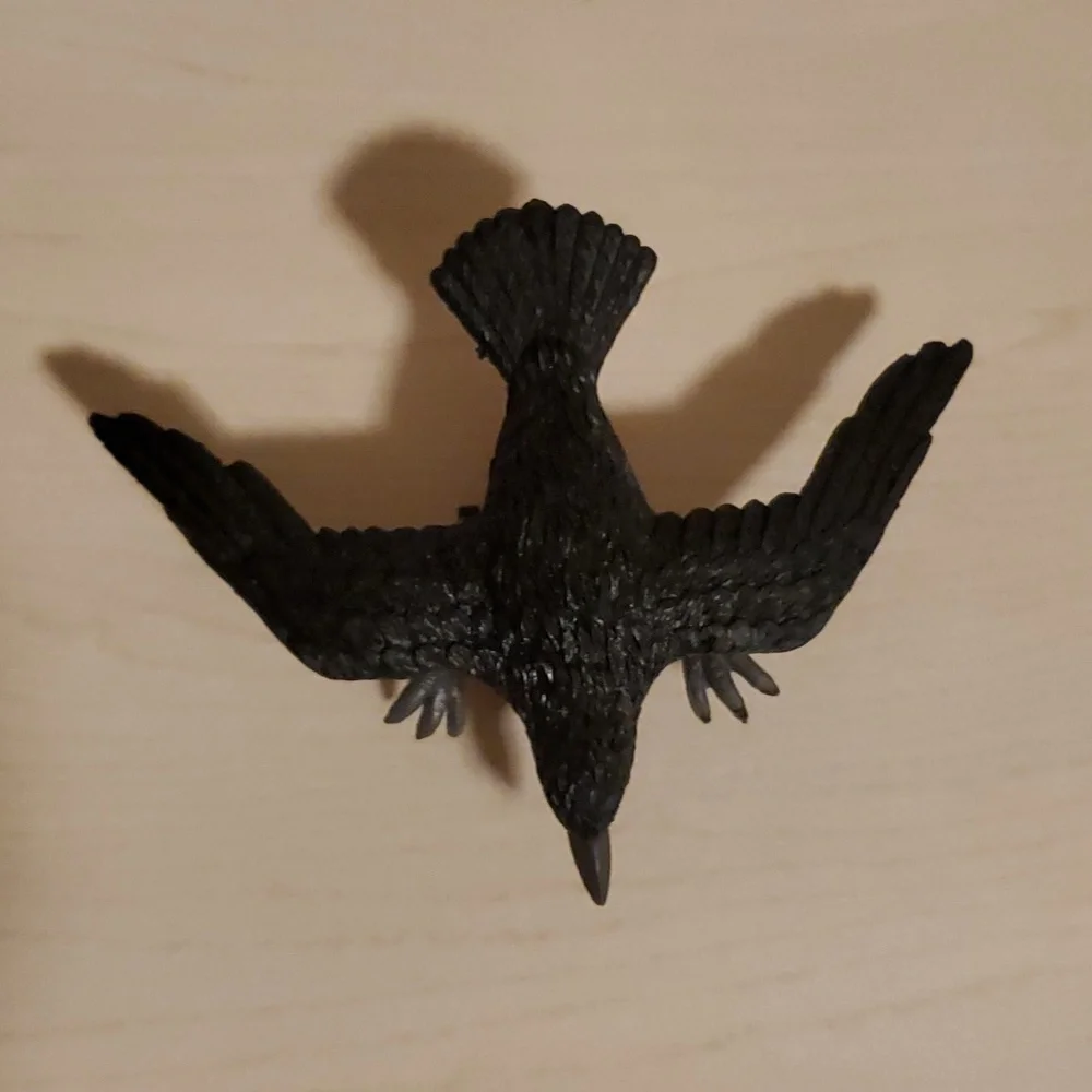 Archie McPhee Racing Crow - Picture 5 of 5